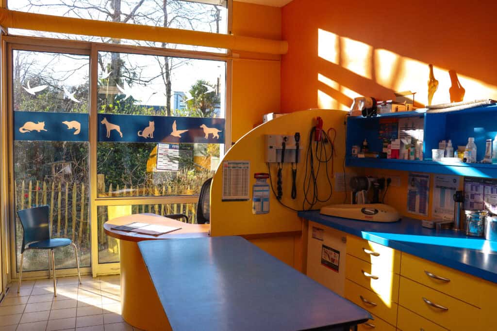 Salle de consultation à Clinique vétérinaire du Trégor à Treguier 22220