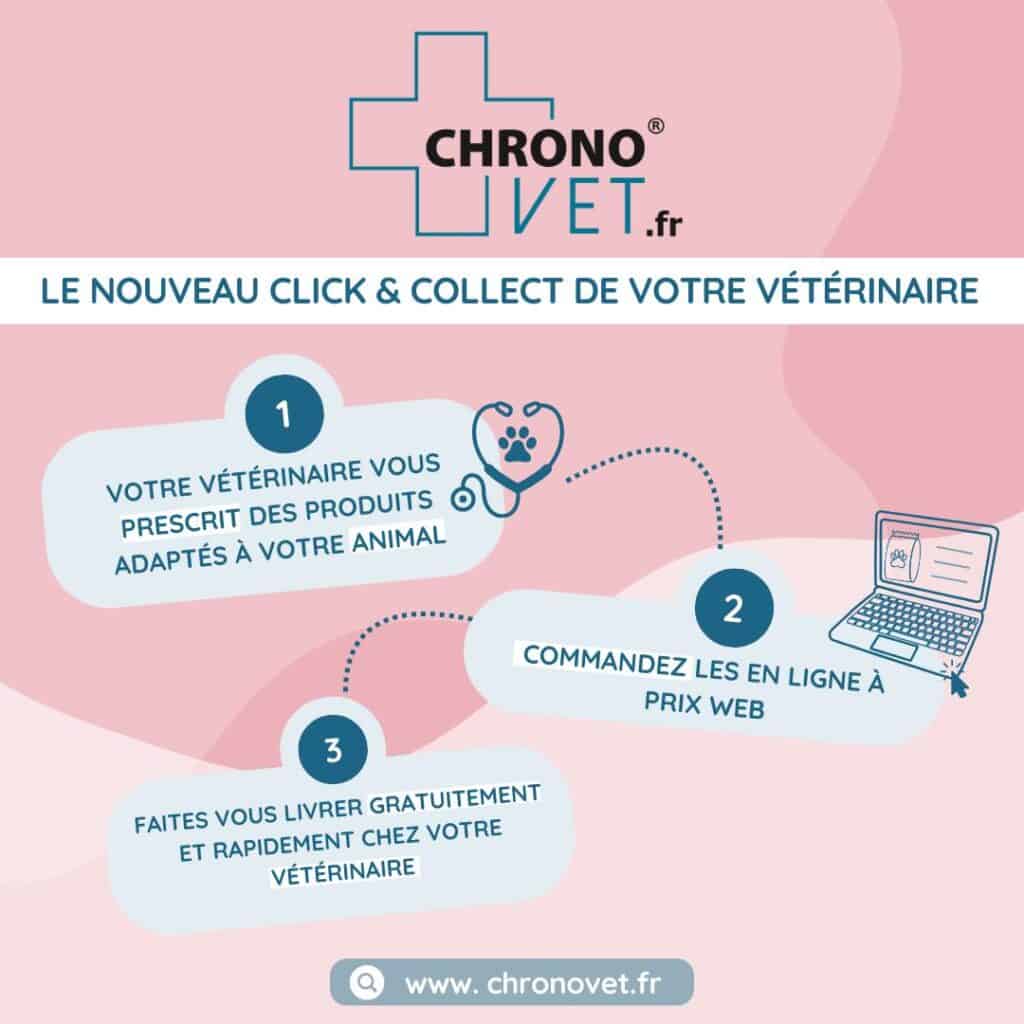 Chornovet boutique en ligne à Clinique vétérinaire du Trégor à Treguier 22220